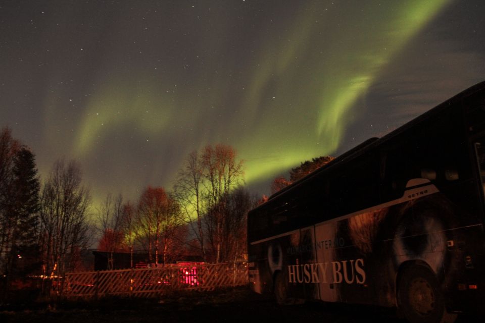 Tromsø: Northern Lights Husky Visit With Traditional Dinner - Last Words