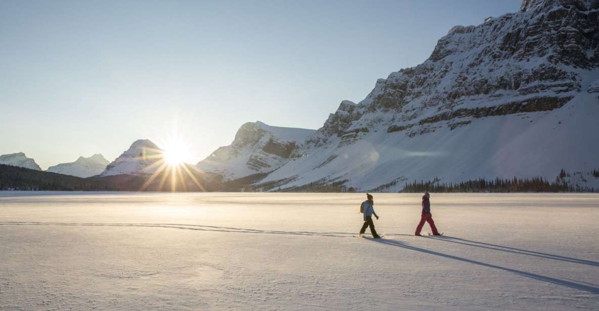 Tromso: Scenic & Eco-Friendly Snowshoeing Tour - Common questions