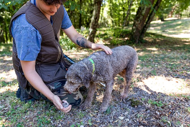 Truffle Lunch & Hunting Experience in San Gimignano - Last Words