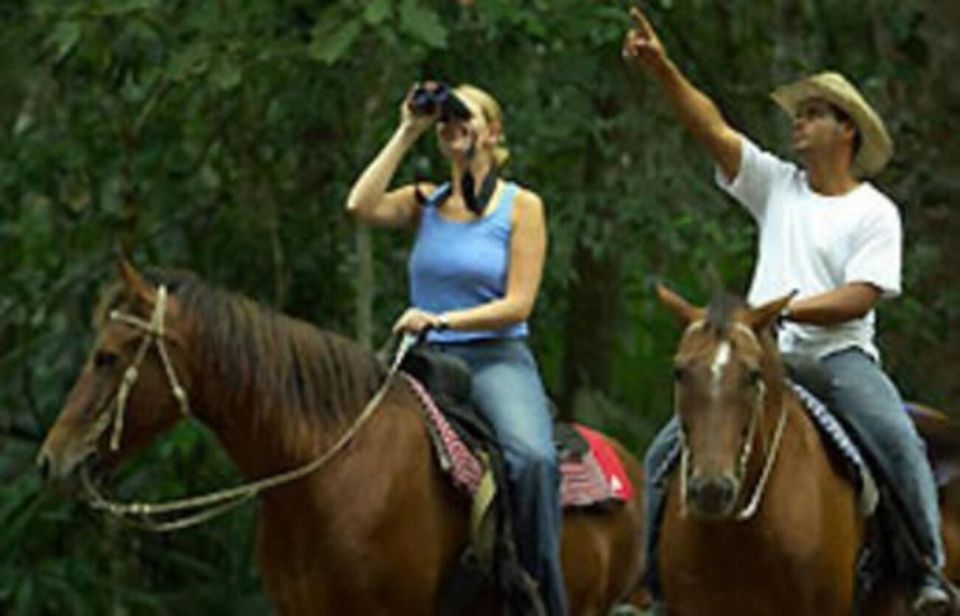 Tulum: Horseback Riding in the Jungle W/ Transfers and Lunch - Common questions