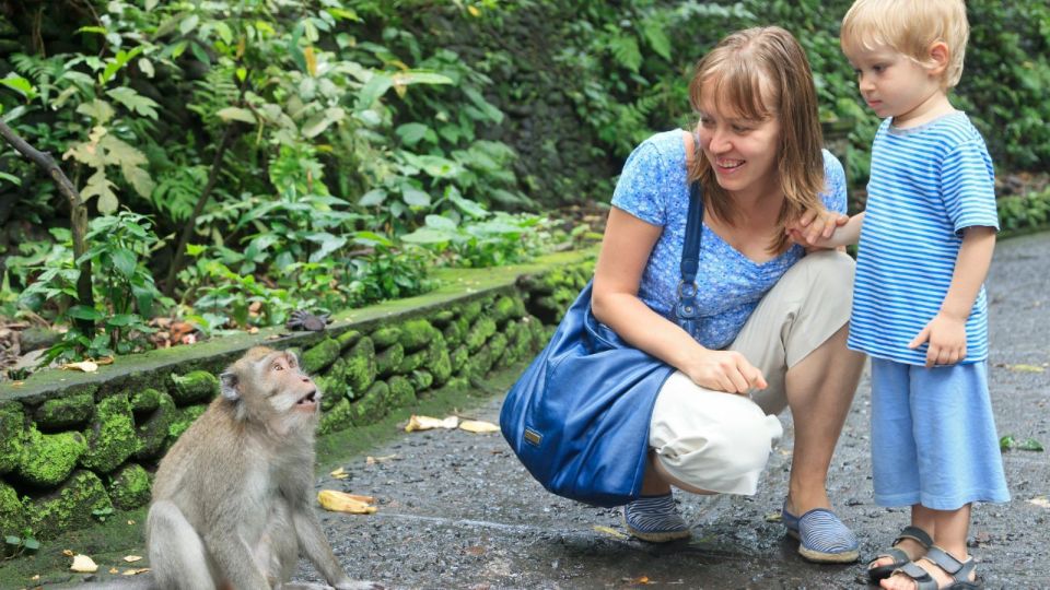 Ubud: Monkey Forest, Waterfall & Rice Terraces Guided Tour - Last Words