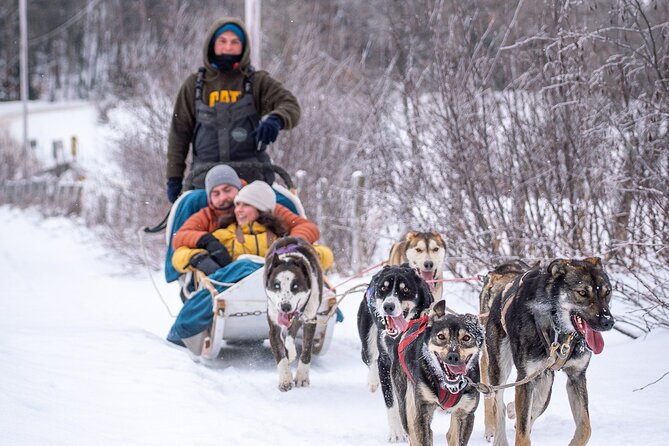 Ultimate Dog Sledding Tour - Day Trip From Ottawa & Gatineau - Common questions