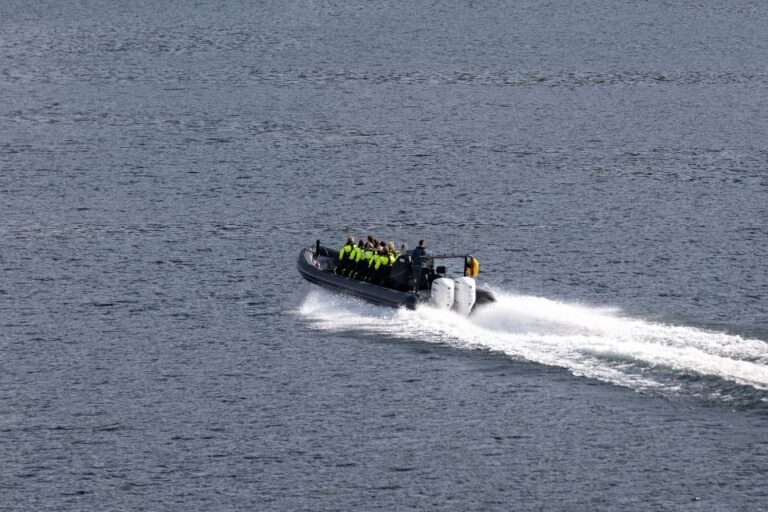 Ulvik: Hardangerfjord and Osafjord RIB Tour