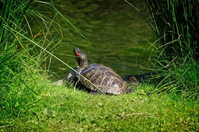 Vancouver to Victoria City With Butchart Gardens Tour - Last Words