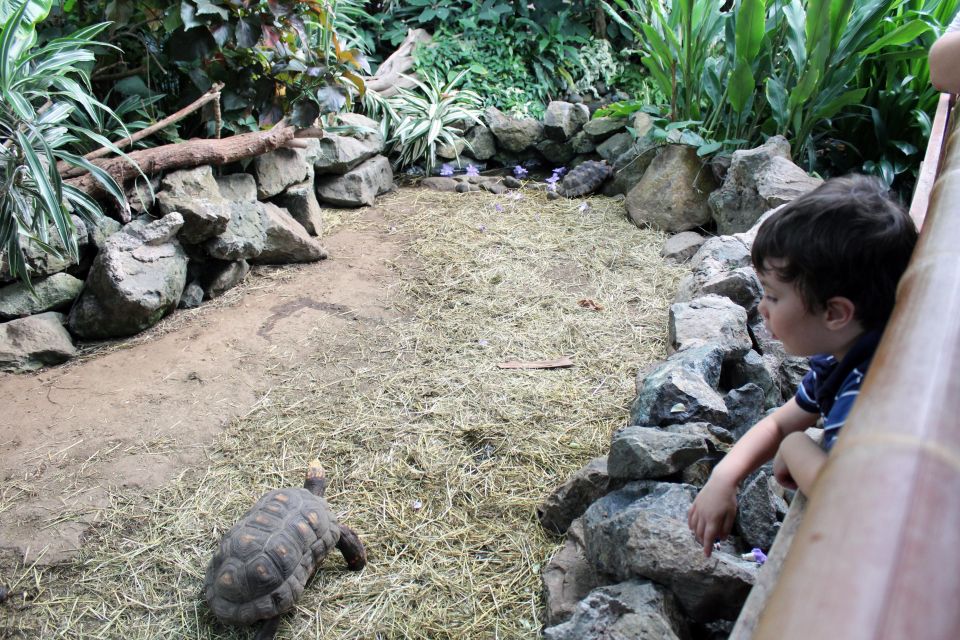 Victoria: Butterfly Gardens Admission Ticket - Overall Experience