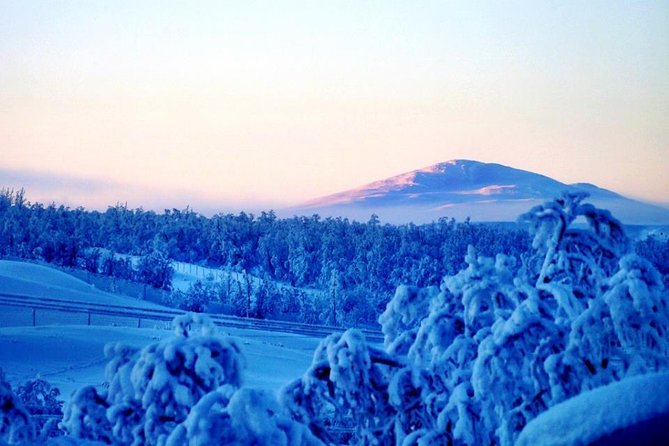 Views Over Lapland by Snowmobile and Visit the Reindeer - Common questions