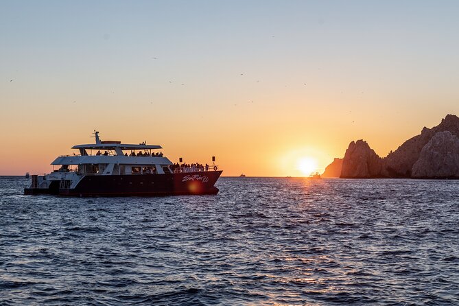 Whale Watching Dinner Cruise in Cabo San Lucas - Last Words