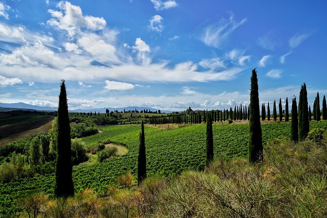 Winery Tour & Wine Tasting in Montalcino - Common questions