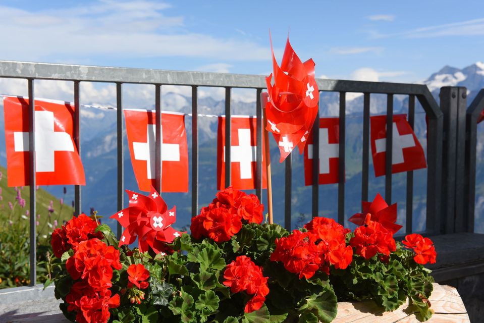 Zurich: Private Panoramic Alpine Tour - Booking Information and Contact Details