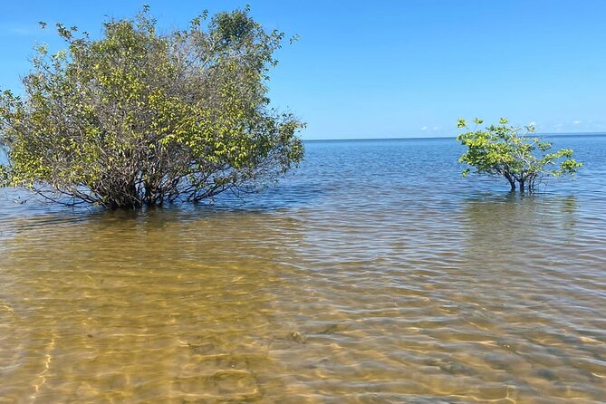 8day Expedition of Scenic Beauty and Amazon Traditional Culture on Tapajós River - Key Points