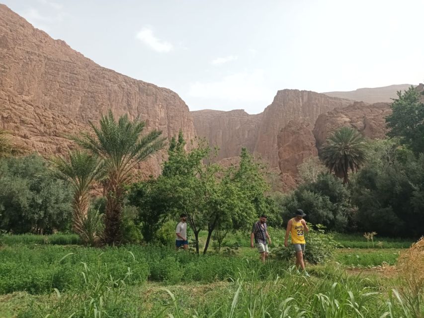 4 Days Desert Tour From Marrakech To Fez Via Merzouga Dunes - Common questions