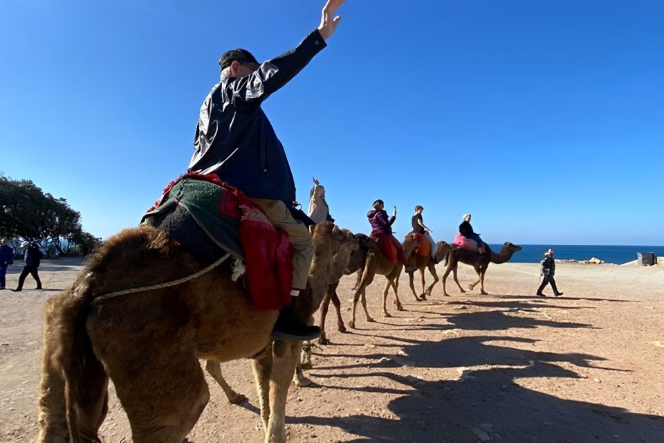 5 Hour Private Tangier Tour - Last Words