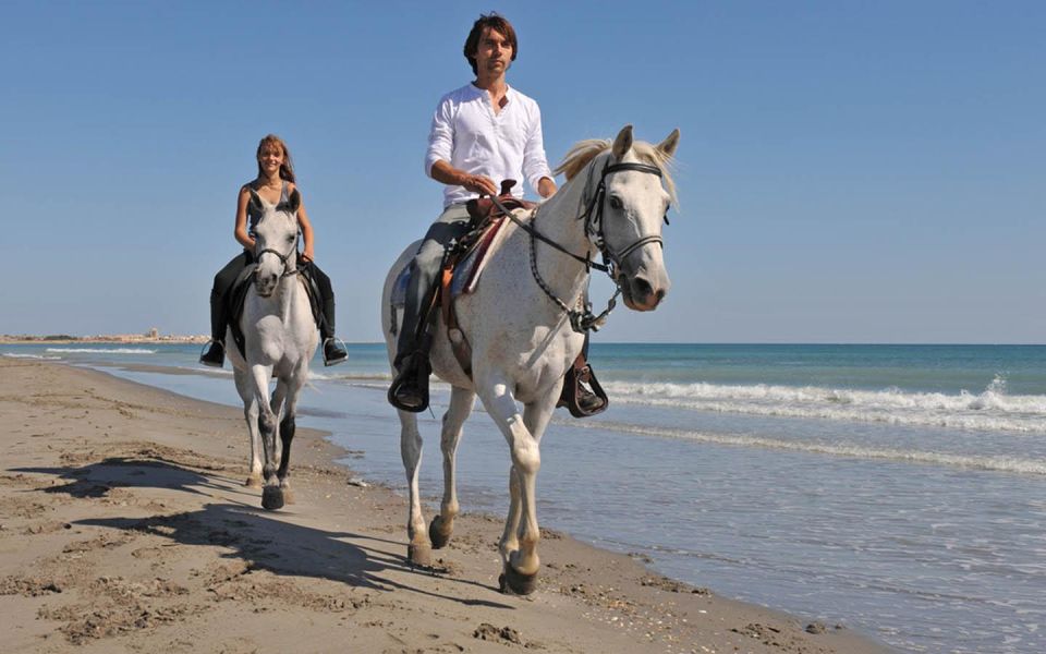 Agadir: Beach Horse Riding Tour - Last Words