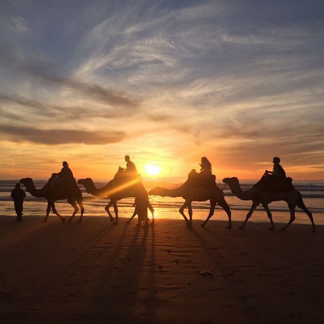 Agadir: Sunset Camel Ride With BBQ and Couscous - Last Words