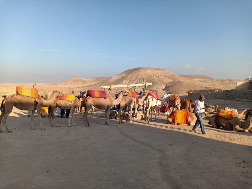 Agafay Desert Camel Ride With Lunch - Common questions