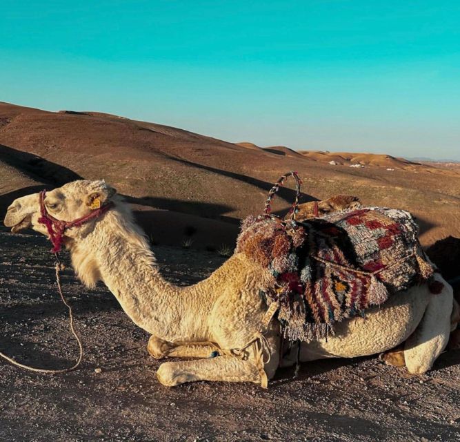 Agafay Desert Evening: Camel Ride, Quad Bike, Dinner & Show - Common questions