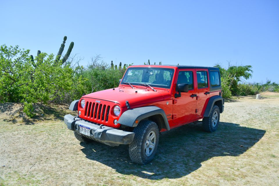 All-Inclusive Cabo Pulmo Jeep Tour - Last Words