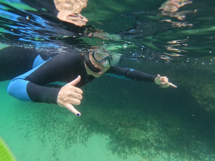 Arrábida: Snorkeling Experience in Arrábida Marine Reserve - Common questions