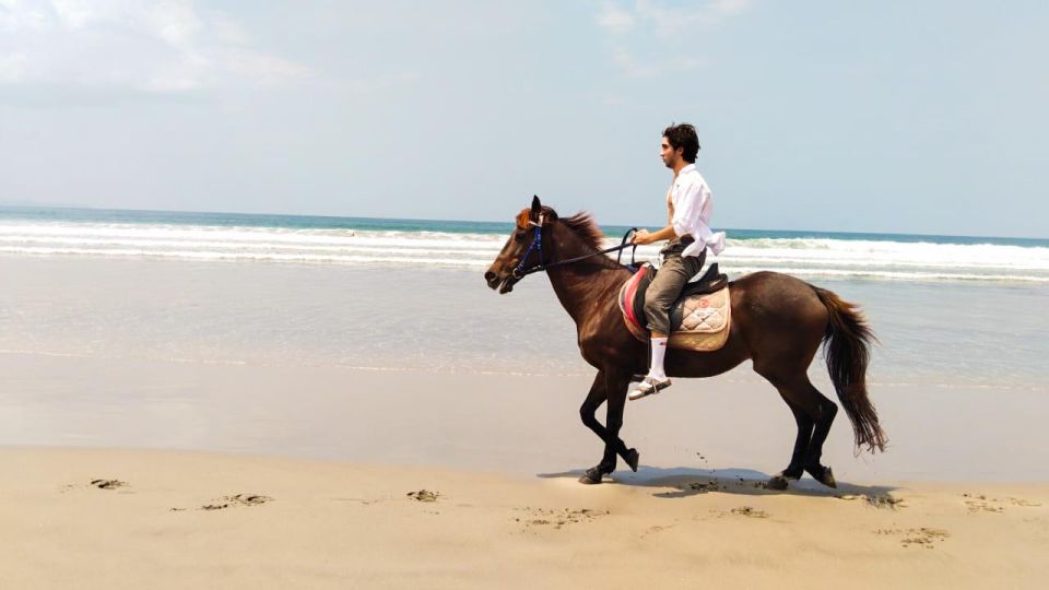 Bali: Horse Riding Seminyak Beach 1 Hour Experience - Common questions