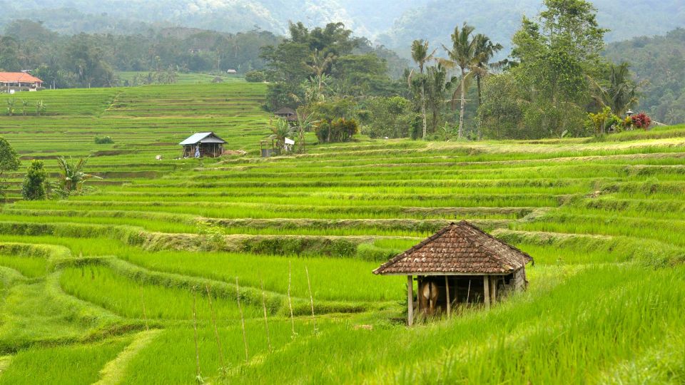 Bali Jatiluwih Rice Terrace and Tanah Lot Tours - Last Words