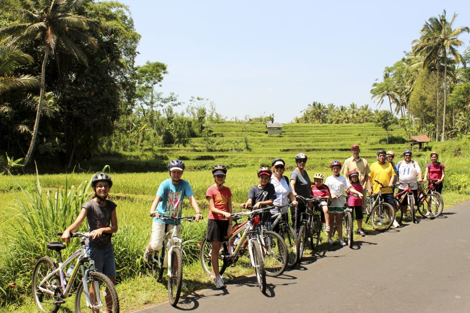 Bali: Jatiluwih Rice Terraces 1-Hour Electric Bike Tour - Last Words