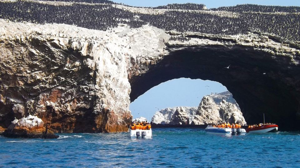 Ballestas Islands and Paracas Reserve - Full Day Escape - Meet Expert Guides on the Tour