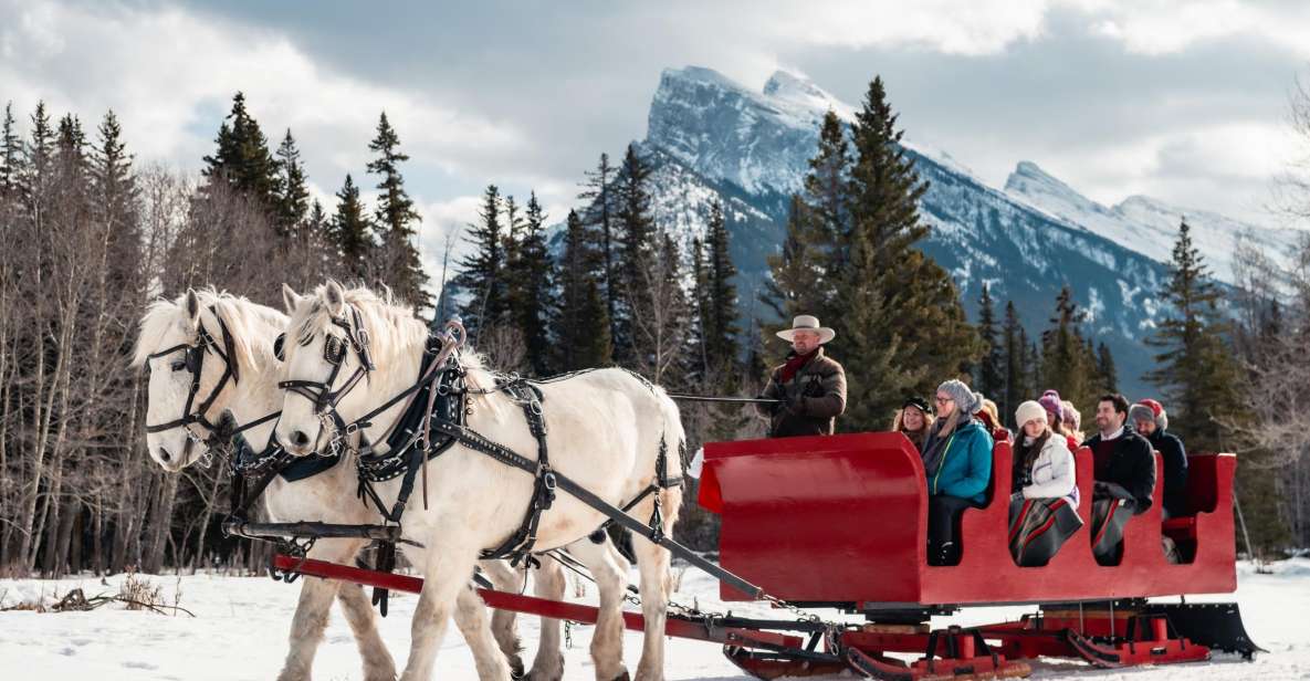 Banff: Family Friendly Horse-Drawn Sleigh Ride - Last Words