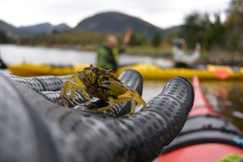 Bergen: Guided Fishing Tour With Outdoor Cooking - Common questions