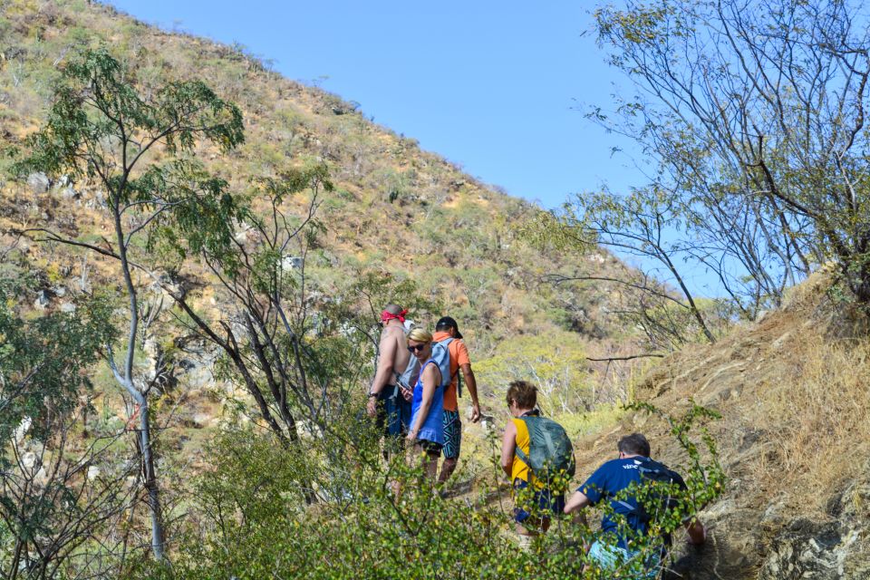 Cabo: Fox Canyon Private Hiking Tour - Common questions