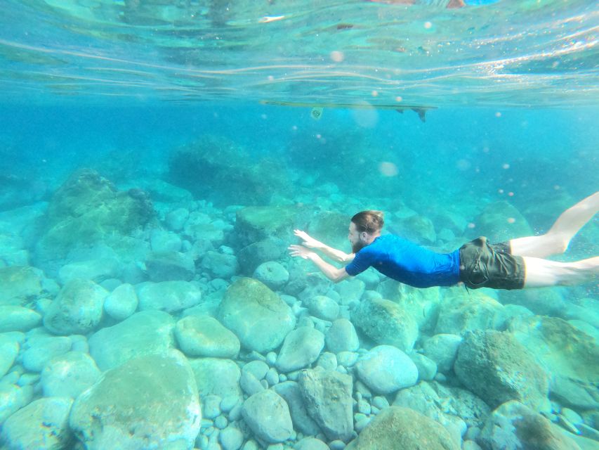 Câmara De Lobos: Private Guided Kayaking Tour in Madeira - Last Words