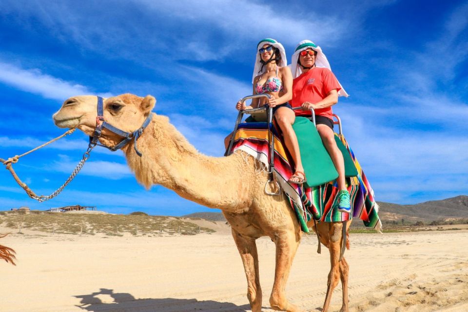 Camel Ride Beach and Desert Adventure. - Experience