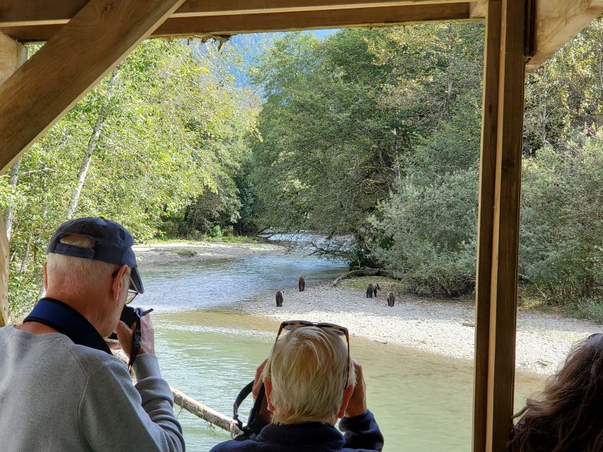 Campbell River: Grizzly Bear-Watching Tour With Lunch - Common questions