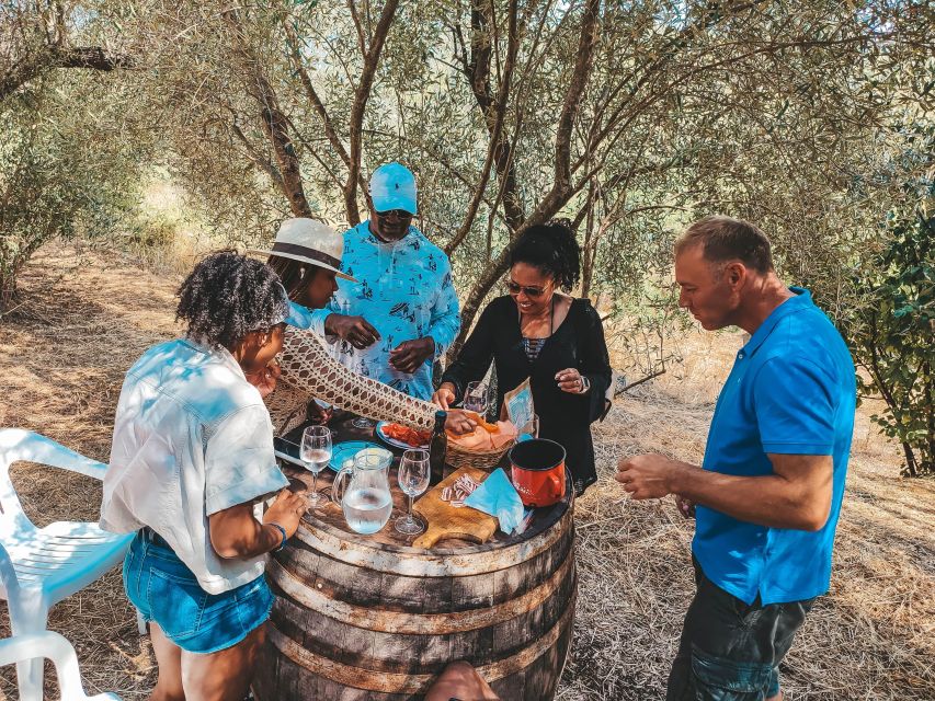 Coastal Vineyards: A Dream Wine Tour to Elaphiti Islands - Key Points