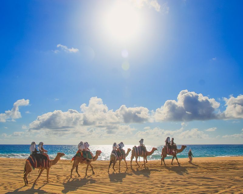 Combo Tour: Camel Ride Snorkeling Adventure - Common questions