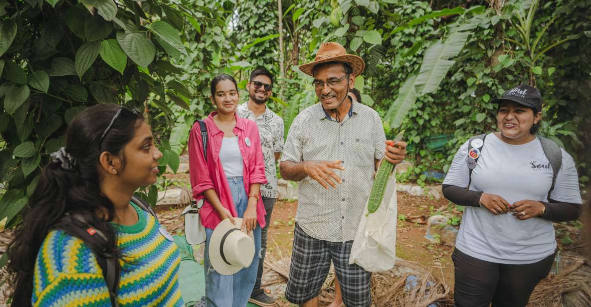 Cook and Eat With a Local Family in Goa - Last Words