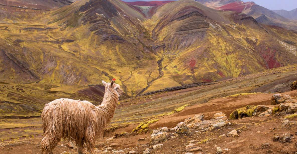 Cusco: Full-Day Private Hike to Palcoyo Rainbow Mountain - Common questions