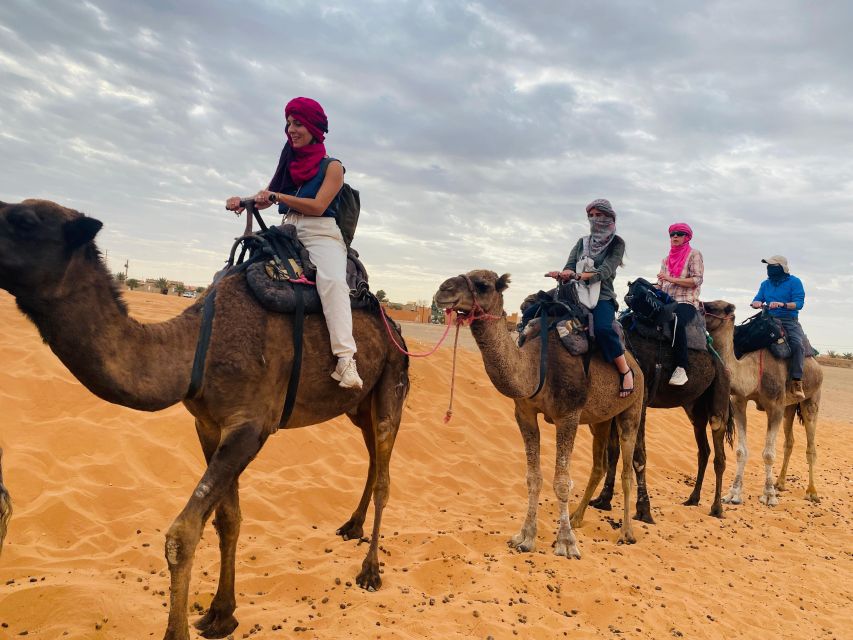 Day Trip to Essaouira - Last Words