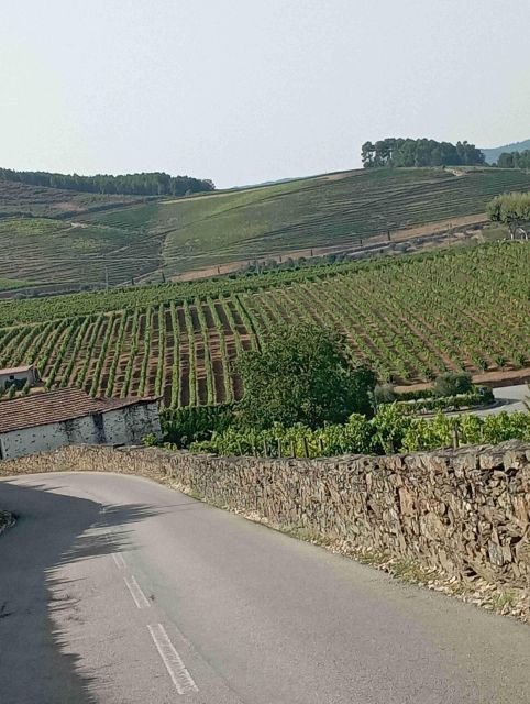 Douro Valley Wine Tour, Lunch River Cruise, 12 Wines Tasting - Booking Details