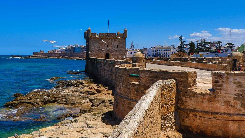 Essaouira: 2-Hour Camel Ride - Last Words