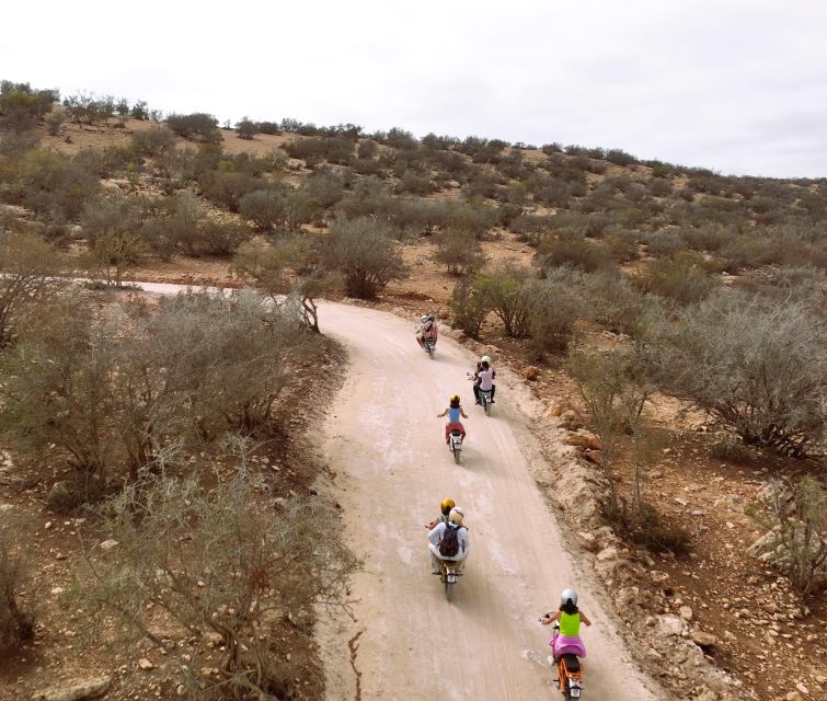 Essaouira : Half-Day E-Experience From Mountains to Sea - Common questions