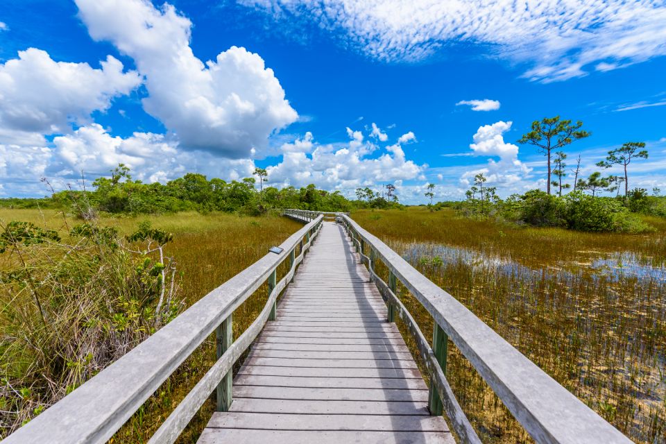 Everglades National Park: Self-Guided Driving Audio Tour - Last Words