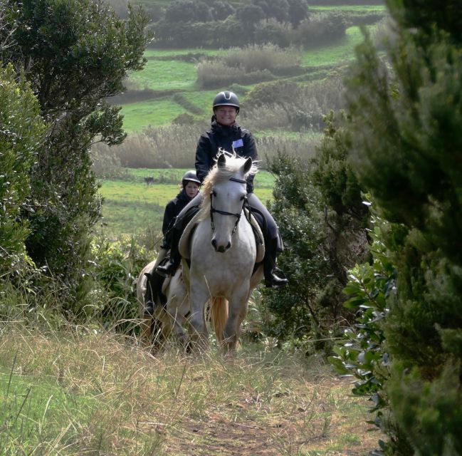 Faial Island: Horseback Riding on Lusitano Trail (1,5 Hr) - Highlights of the Horseback Ride