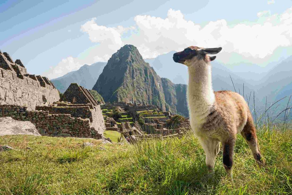 Fantastic Machu Picchu 5-days Moray and Rainbow Mountain - Last Words