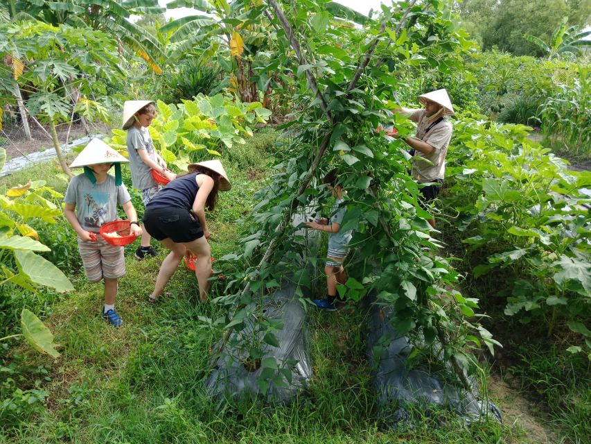 Farm-To-Table Healthy Cooking Class: Half-Day Tour - Common questions