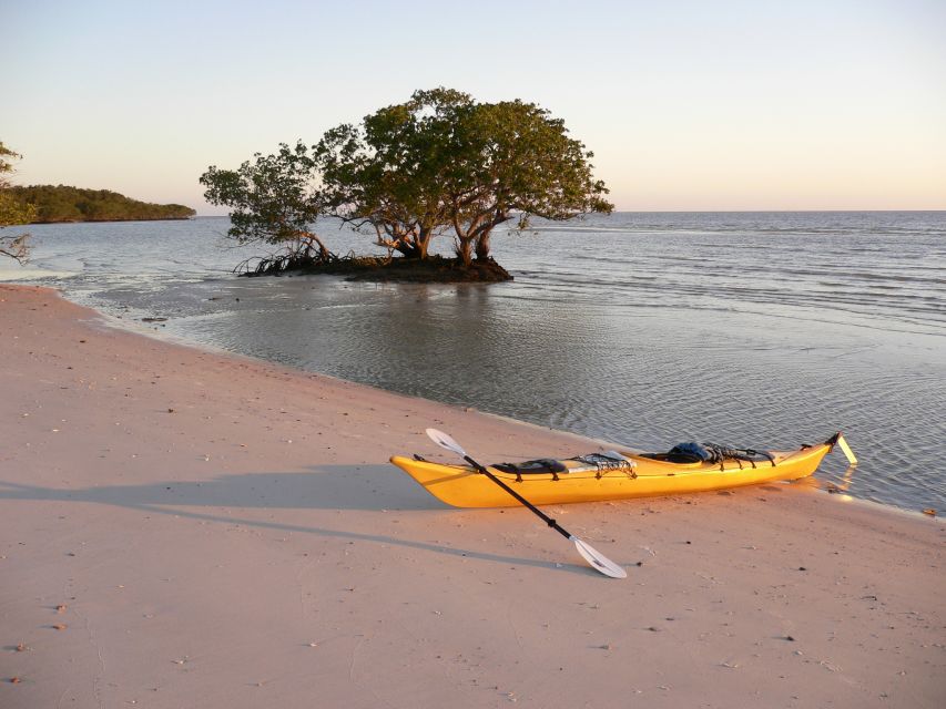 Florida Keys: Key West Kayak Eco Tour With Nature Guide - Last Words