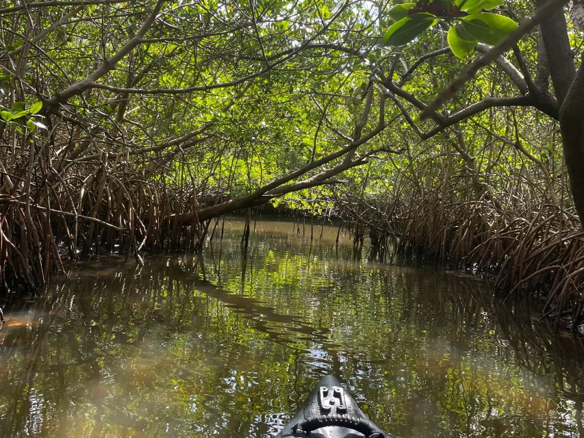 Fort Pierce: 8-Hr Jungle and Lagoon Passage to Ocean in FL - Last Words