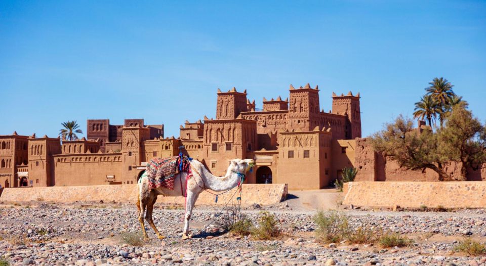 From Agadir or Taghazout: 2-Day Sahara Desert Tour to Zagora - Common questions