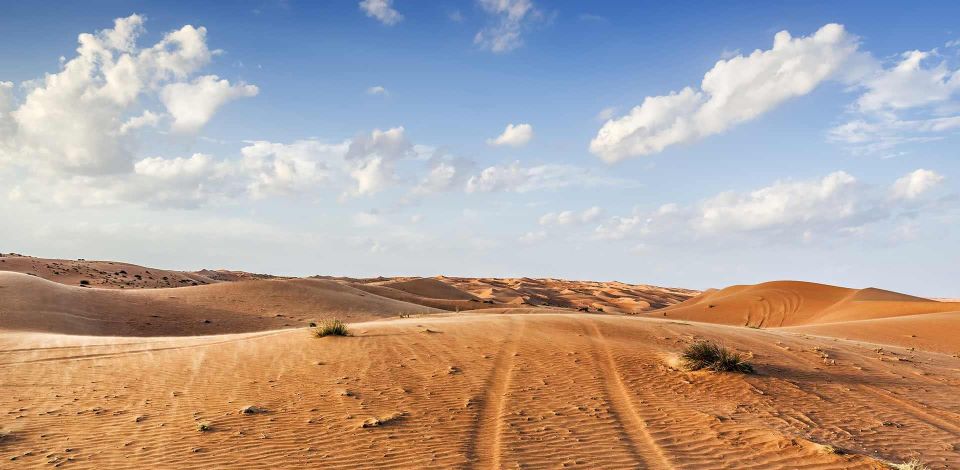 From Agadir or Taghazout : 4x4 Sahara Desert With Lunch - Last Words