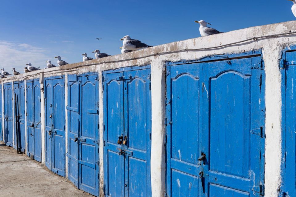 From Agadir or Taghazout: Essaouira Day Trip With Transfer - Last Words