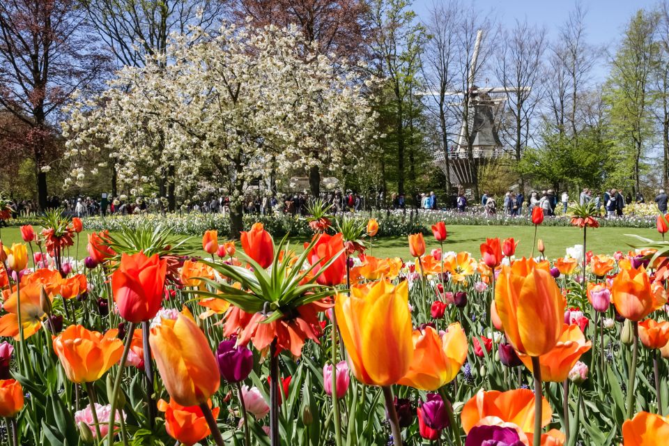 From Amsterdam: Keukenhof Entry and Roundtrip Shuttle Bus - Last Words